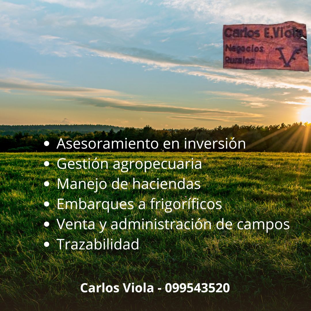 Carlos Viola